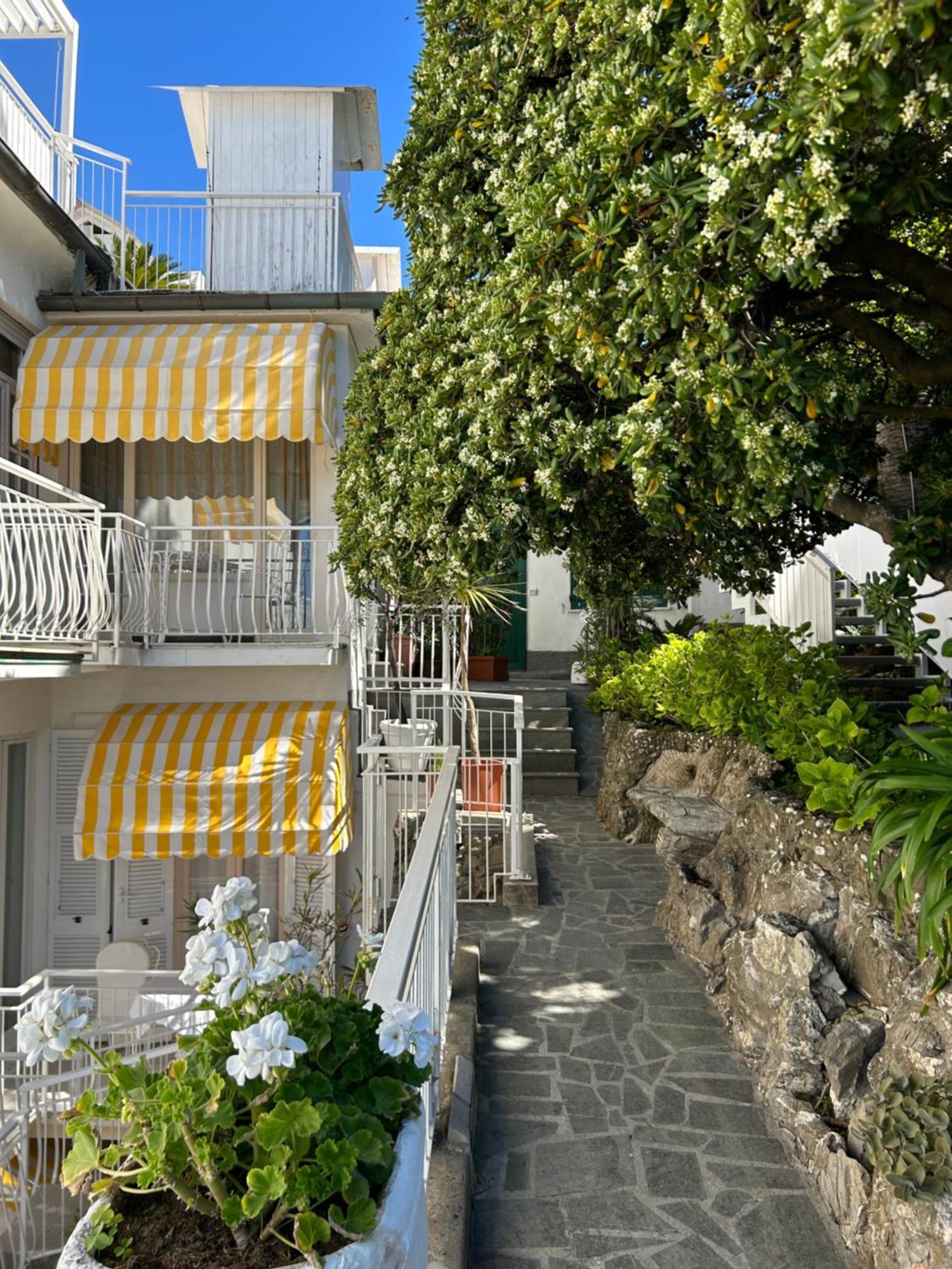 Hotel Helvetia Sestri Levante Kültér fotó